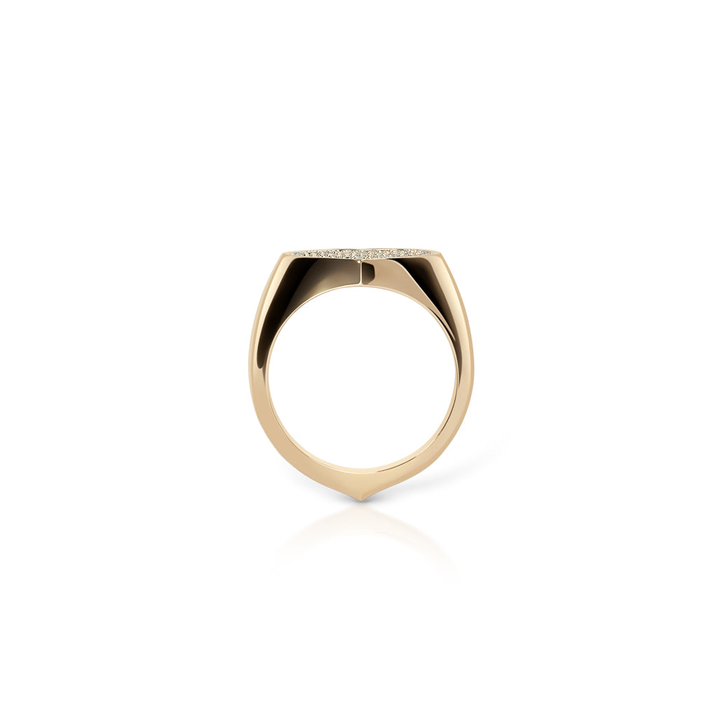 The One Signet Ring Heart-13